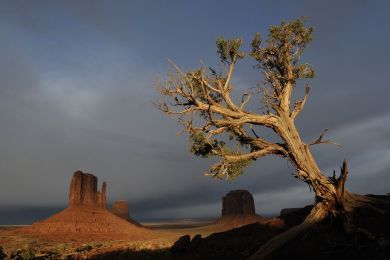 Monument Valley, Navajo Tribal Park, Etats-Unis