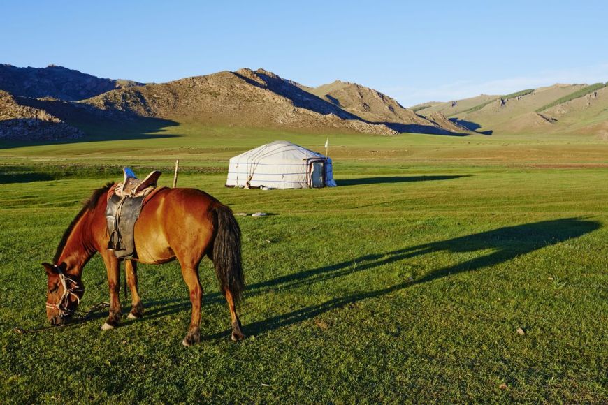 Campement nomade, Mongolie