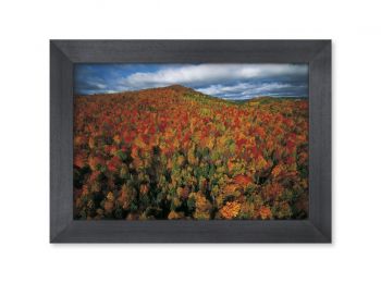 Forêt d'automne, Québec