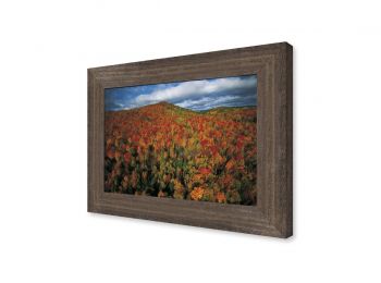 Forêt d'automne, Québec