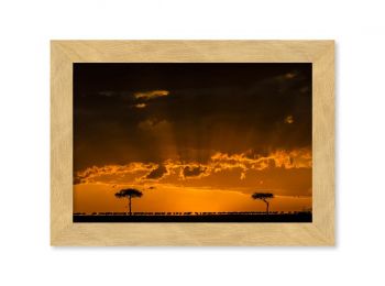 Kenya, gnous au coucher de soleil