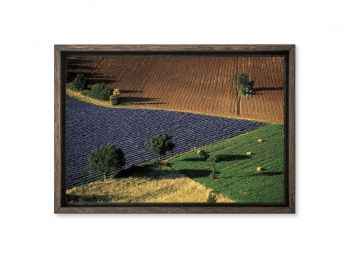 Vaucluse,Landscape of brightly colored fields