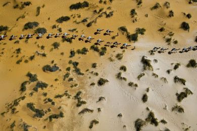 Mauritania, dromedary caravan