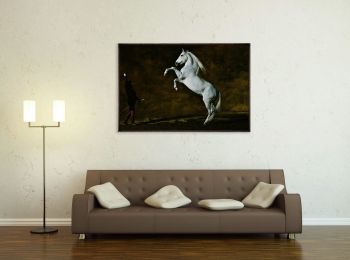 Andalusian horse, Art Photography