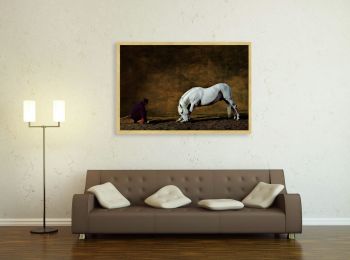 Andalusian horse by Mario Luraschi