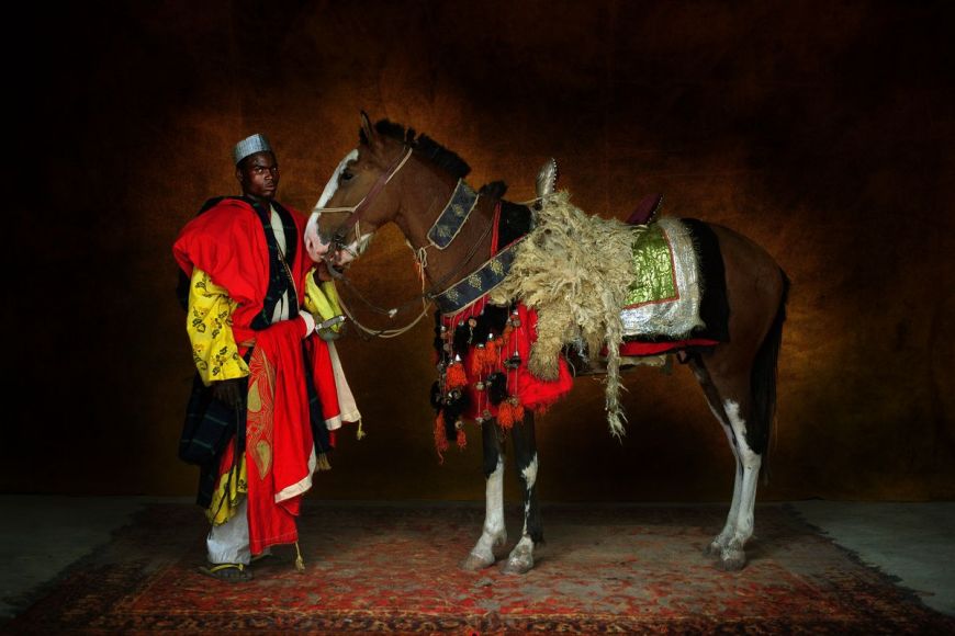 Cheval africain de type barbe