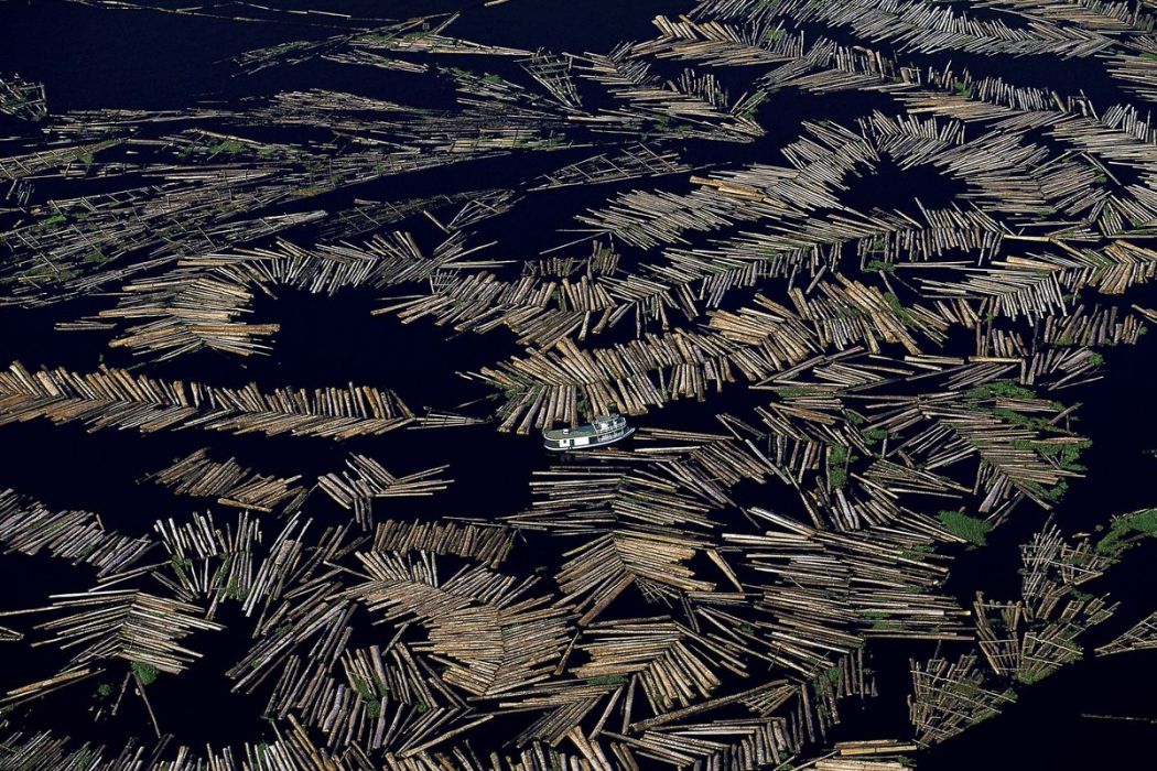 Flottage du bois sur l’Amazone, Brésil