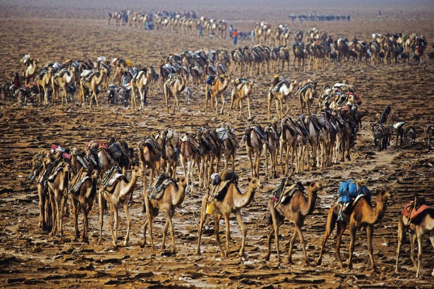 Caravane du sel, Ethiopie